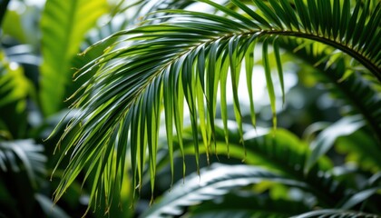 Vibrant green palm leaves tropical environment nature photography lush jungle close-up view serenity and growth