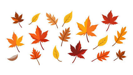 autumn leaves isolated on white