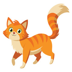 A ginger cat with a short, fluffy tail is running
with white background.