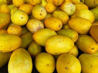 Pile of ripe cucumber fruits from the harvest