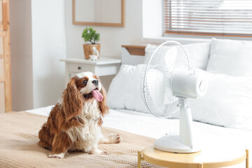 Funny dog and electric fan in bedroom