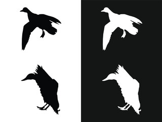 Collection of flying duck silhouette, black and white vector design