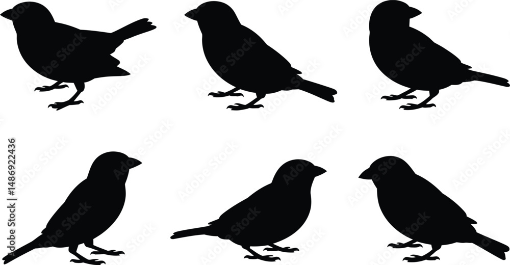 Poster silhouettes of various sparrow poses on white background showing detailed body shape and form