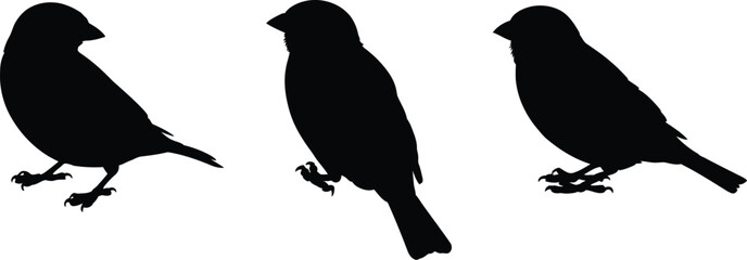Obraz premium Silhouette depictions of three small birds presented in a clean modern flat design on a white background.