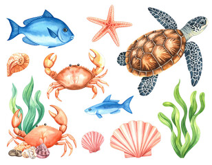 Naklejka premium sea animals collection