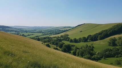 Naklejka premium Stunning Summer Countryside Landscape with Rolling Hills and Clear Blue Sky