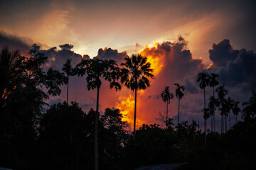 Natural background of the sky changing colors in various shapes according to the time of the sun setting behind the horizon in the line of palm trees or mountains.