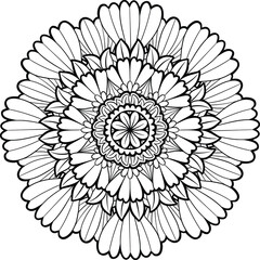 Beautiful floral pattern mandala art isolated on a white background