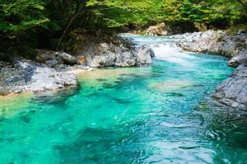 Naklejka premium 阿寺渓谷 夏