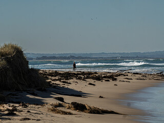 Inverloch Surf Beach Driftwood And Weed On Corner.