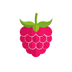Fresh Raspberry Fruit Icon Graphic Design Illustration