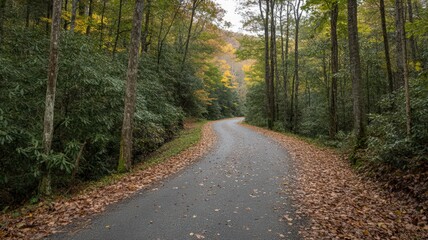 Fototapeta premium Winding Scenic Road Cutting Through Dense Forest Surrounded by Autumn Leaves in Tranquil Nature