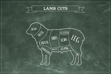 Lamb meat cuts on green chalkboard background © Cristian Valderas