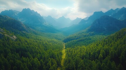 Fototapeta premium Aerial green landscape path mountain view