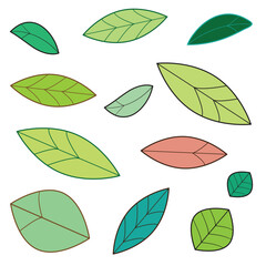 A set of colorful leaves of various styles