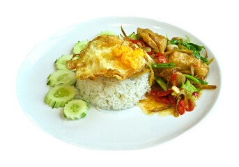 Stir-fried Spicy Seabass with Fingerroot  and egg ,rice on transparent.
