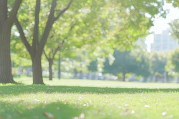 Serene park scene with sunlit grass and blurred trees in background