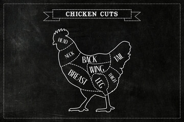 Chicken meat cuts on black chalkboard background