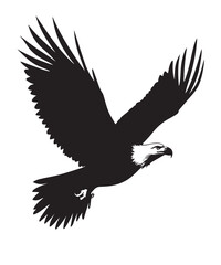 Drawing_of_Silhouette_of_Eagle_Landing_Illustration
