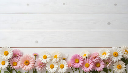 Pastel daisies and zinnias in soft pink, white, and yellow arranged on a white wooden background. Flat lay floral composition, clean and minimal, perfect for spring or summer themes.