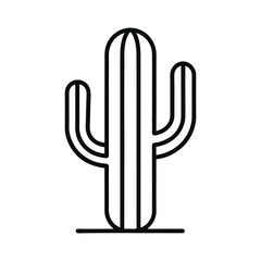 Close-Up of Green Cactus