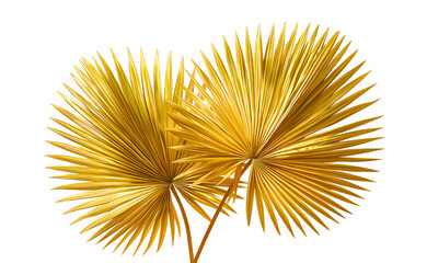 Fototapeta premium Golden, dried palm leaves, isolated on a transparent background