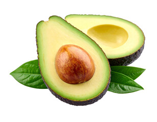 avocado isolated on white background