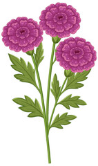 Vibrant Purple Flowers with Lush Green Leaves