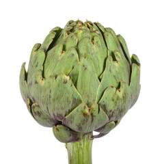 Obraz premium Fresh Artichoke Close-Up