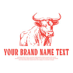 Hand drawn Bull logo illustration in vintage style