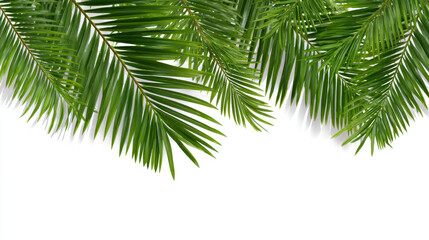 Naklejka premium Lush green palm leaves create vibrant tropical atmosphere, perfect for adding natural touch to any design