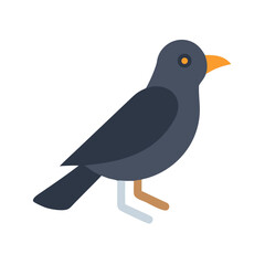 Flat style cartoon crow on black background illustration
