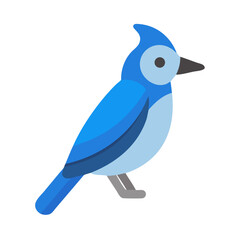 Stylized blue jay bird against black background illustration