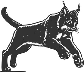 Wildcat  lynx vector animal silhouette