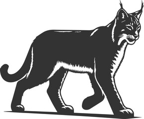 Wildcat  lynx vector animal silhouette