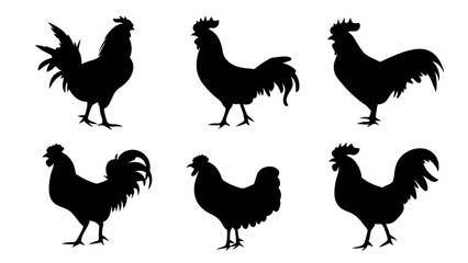 set of rooster different pose silhouette vector