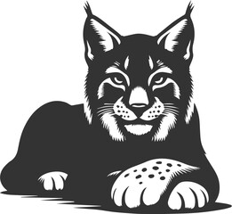 Wildcat  lynx vector animal silhouette