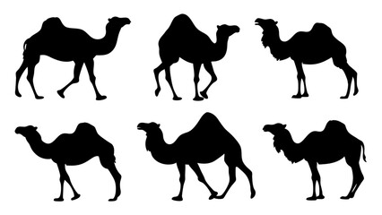 set of camel silhouette vector on tranparent background