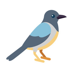 Modern flat illustration of bird with black background