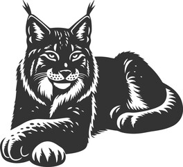 Wildcat  lynx vector animal silhouette