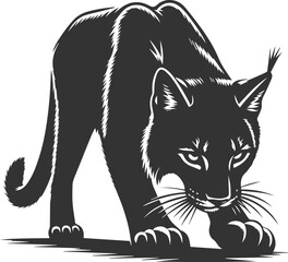 Wildcat  lynx vector animal silhouette