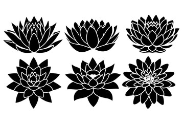 set of lotus flowes silhouette vector on tranparent background