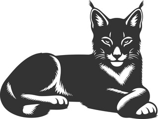 Wildcat  lynx vector animal silhouette