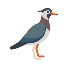 Stylized flat vector illustration of a northern lapwing bird