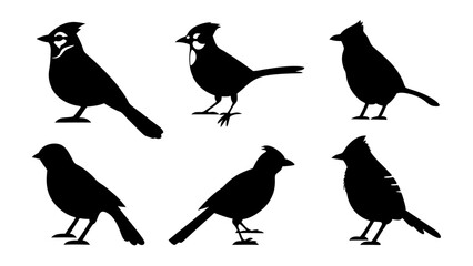 set of blue jay birds silhouette vector on tranparent background