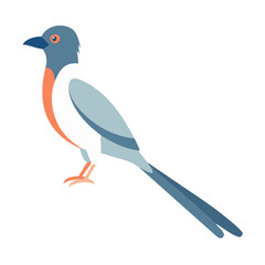 Elegant flat design of a stylized Blue Magpie bird