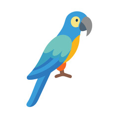 Cartoon macaw parrot with blue and yellow plumage