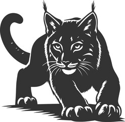 Wildcat  lynx vector animal silhouette
