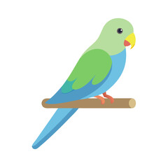 Cute parakeet sitting on a branch against black background