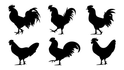 set of rooster different pose silhouette vector